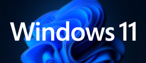 DELTARUNE for Windows 11